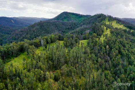 510 Armidale Rd, Nymboida, NSW 2460