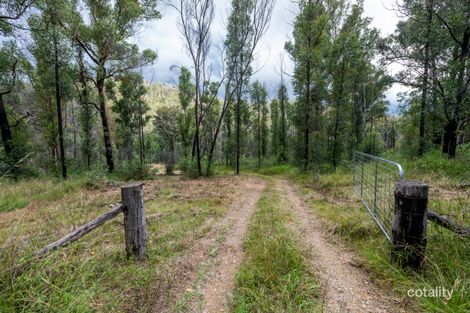 Property photo of 510 Armidale Road Nymboida NSW 2460