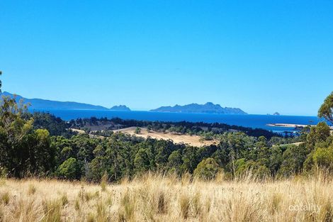 Property photo of 10923 Tasman Highway Little Swanport TAS 7190
