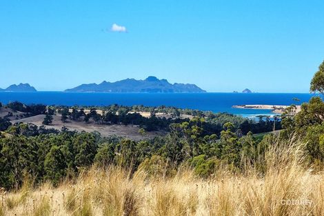 Property photo of 10923 Tasman Highway Little Swanport TAS 7190