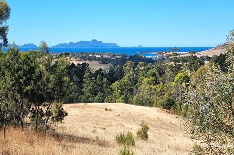 Property photo of 10923 Tasman Highway Little Swanport TAS 7190