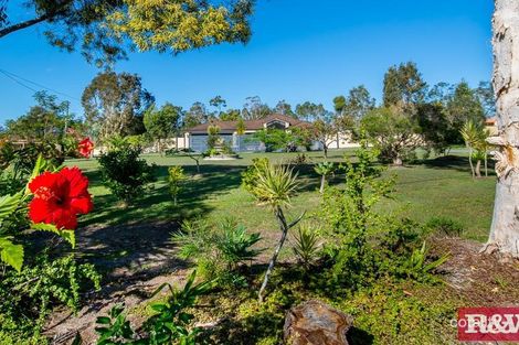 Property photo of 1 Dollarbird Court Elimbah QLD 4516