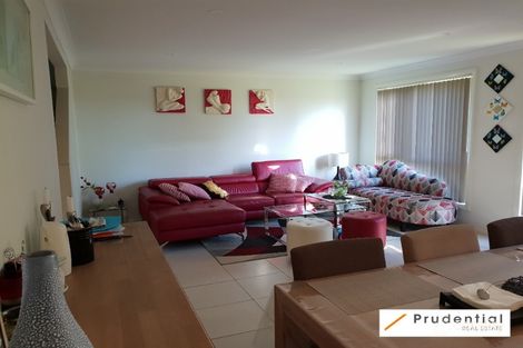 Property photo of 5 Three Bees Drive Glenfield NSW 2167