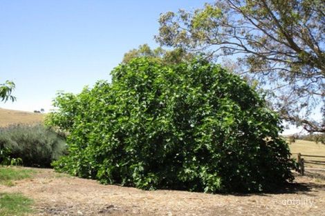 Property photo of 268 Macdonnell Street Springton SA 5235