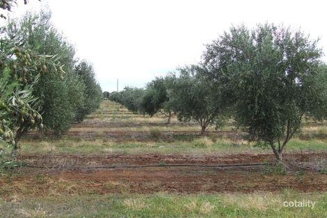 488 Main St, Owen, SA 5460