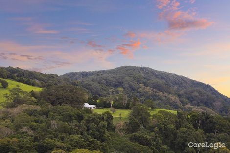 Property photo of 50 Wilsons Road Saddleback Mountain NSW 2533