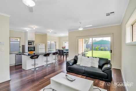 Property photo of 20 Cashel Street St Marys SA 5042