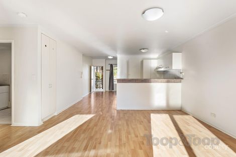 Property photo of 38/177 Angas Street Adelaide SA 5000