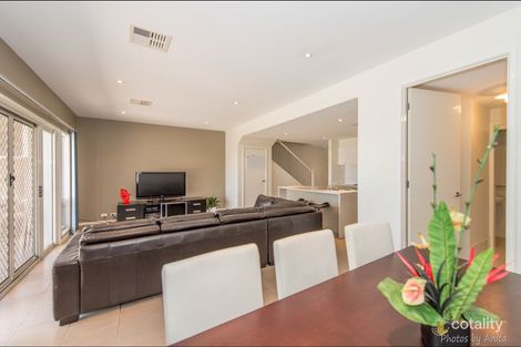 Property photo of 105 Folland Avenue Lightsview SA 5085