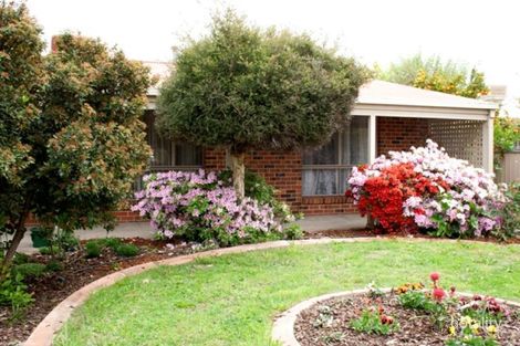 37 Roadshow Dr, West Wodonga, VIC 3690