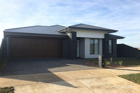 Property photo of 7 Findlay Avenue St Leonards VIC 3223