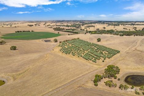 95 Lucas Rd, Mount Pleasant, SA 5235