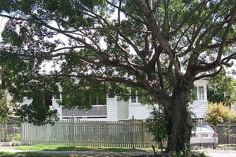 Property photo of 16 Glenlyon Drive Ashgrove QLD 4060