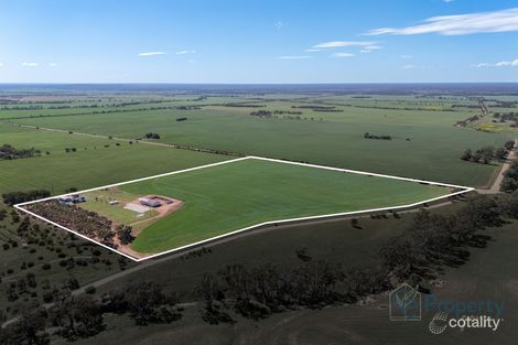 Property photo of 1502 Pine Hut Road Sedan SA 5353