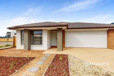 29 Fewster Cct, Mickleham, VIC 3064