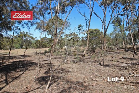 Property photo of 8/9 West Terrace Leasingham SA 5452