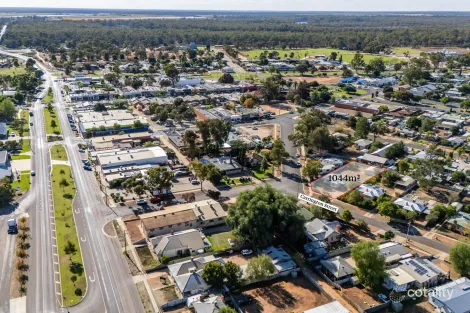 Property photo of 2 Carrington Street Robinvale VIC 3549