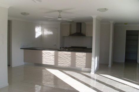 Property photo of 45 Peggy Crescent Redbank Plains QLD 4301