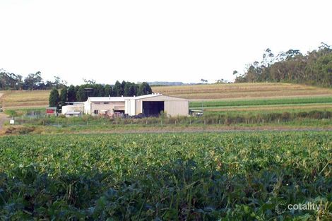 308 Waratah Rd, Mangrove Mountain, NSW 2250