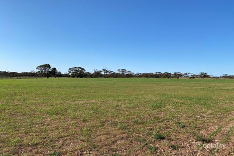 Lot 136 Lake Moodie Rd, Sedan, SA 5353