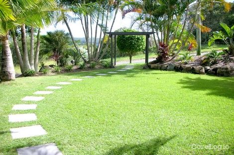 Property photo of 7 Dalwood Court Tallebudgera QLD 4228