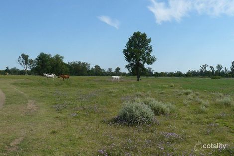 12 Mosquito Creek Rd, Pallamallawa, NSW 2399