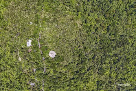 Property photo of 312 Repeater Station Road Springbrook QLD 4213