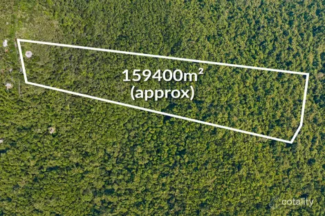 312 Repeater Station Rd, Springbrook, QLD 4213