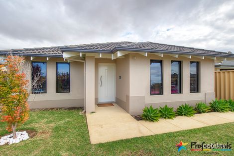 Property photo of 40 Sunflower Turn Yalyalup WA 6280
