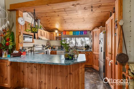 Property photo of 25 Cedar Avenue Naracoorte SA 5271