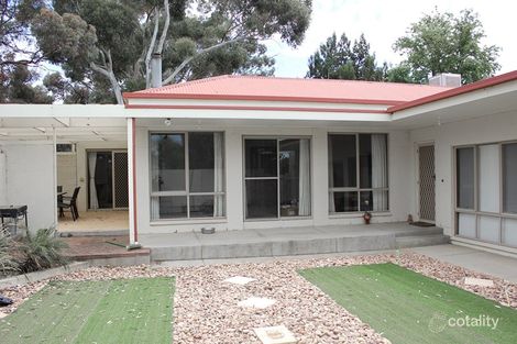 Property photo of 7 Scott Avenue Barmera SA 5345