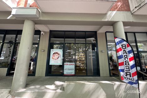 11/130 Carillon Ave, Newtown, NSW 2042