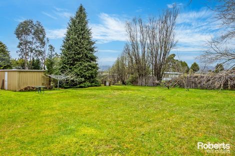 43 Leventhorpe St, Zeehan, TAS 7469