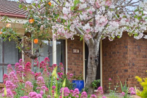 Property photo of 14 Zoran Court Woodcroft SA 5162