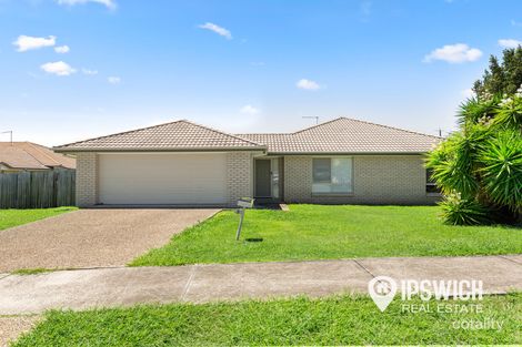 Property photo of 3 Habben Court Bundamba QLD 4304