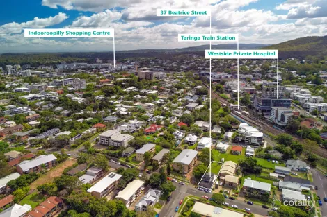 Property photo of 37 Beatrice Street Taringa QLD 4068