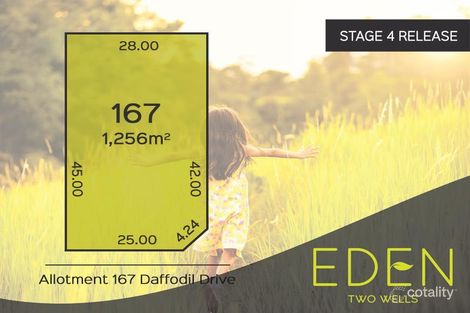 Property photo of LOT 167 Daffodil Drive Two Wells SA 5501