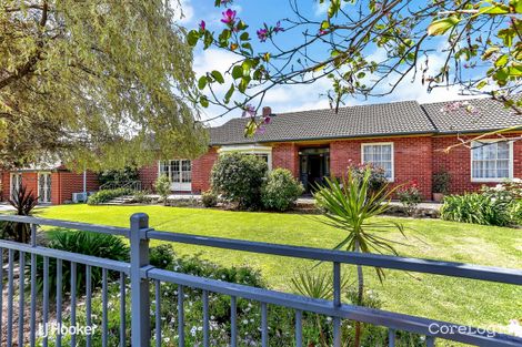 Property photo of 3 Seymour Grove Campbelltown SA 5074