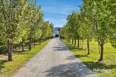 7 Rotary Pl, Acton Park, TAS 7170