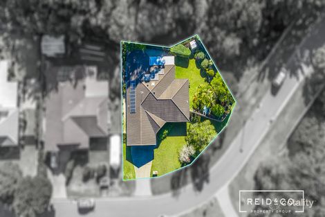 Property photo of 9 Peterson Place Bridgeman Downs QLD 4035