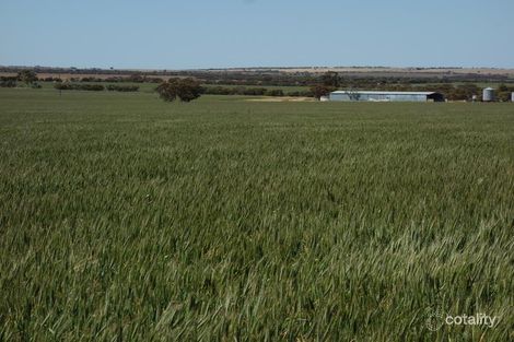 120 Llewellyn Rd, Kondinin, WA 6367