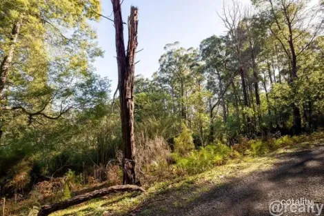 Property photo of 9 Machendry Road Don Valley VIC 3139