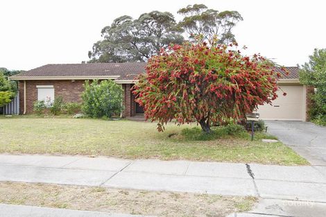 29 Marangaroo Dr, Marangaroo, WA 6064