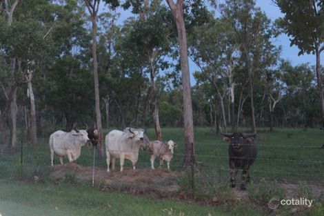 Property photo of 815 Miles Road Batchelor NT 0845