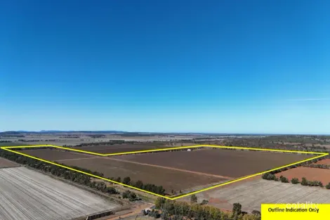 530 Dalton Rd, Yenda, NSW 2681