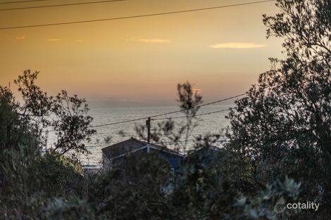 Property photo of 14 Ti Tree Avenue Bonbeach VIC 3196