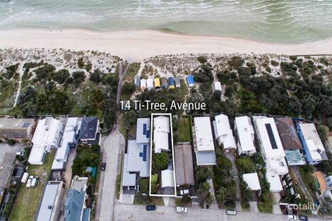 Property photo of 14 Ti Tree Avenue Bonbeach VIC 3196