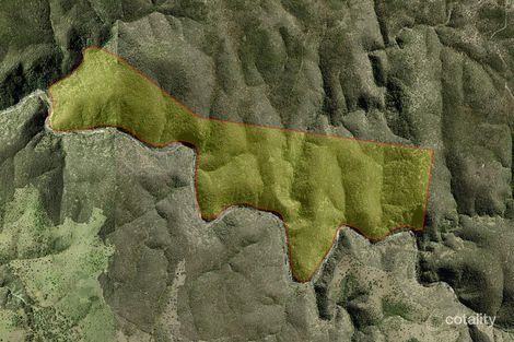 2641 Gulf Rd, Emmaville, NSW 2371