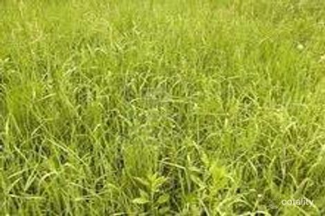 101-105 Deanside Dr, Deanside, VIC 3336