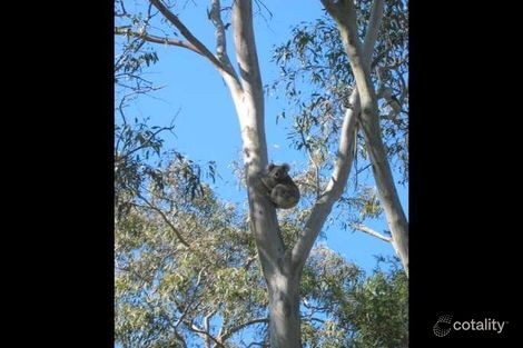 Property photo of 61A Tanilba Road Lemon Tree Passage NSW 2319